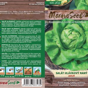 Kopfsalat Frühjahr/Herbst - Lactuca sativa - AMUR