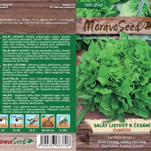 Pflücksalat - Lactuca sativa - DUBÁČEK - grün