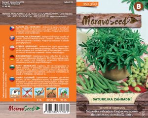 Garten-Bohnenkraut - Satureja hortensis