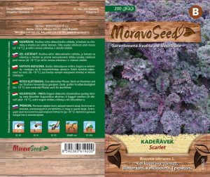 Krauskohl - Brassica oleracea L. - Scarlet - rot