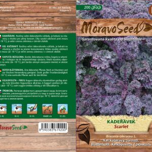 Krauskohl - Brassica oleracea L. - Scarlet - rot