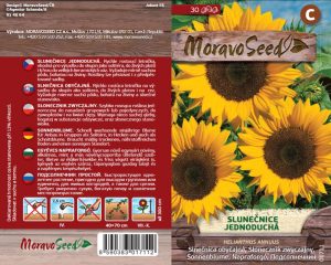 Einfache Sonnenblume - Helianthus annuus - gelb