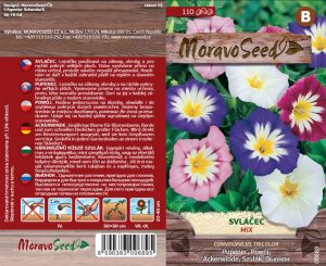 Dreifarbige Winde - Convolvulus tricolor - Mischung