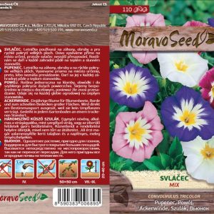 Koloriertes Blütengemisch von Pupenec mit rosa, violetten und weißen Blüten mit gelben Staubgefäßen auf Holzuntergrund.