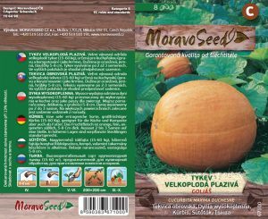 Großfruchtkürbis - Cucurbita maxima - GOLIÁŠ - rankend