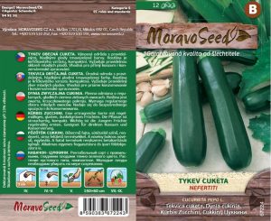 Zucchini - Cucurbita pepo - NEFERTITI - grün