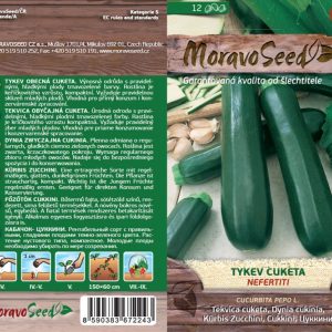 Zucchini - Cucurbita pepo - NEFERTITI - grün