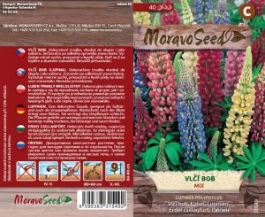 Lupine - Lupinus polyphyllus - Mischung