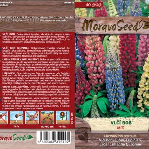 Lupine - Lupinus polyphyllus - Mischung