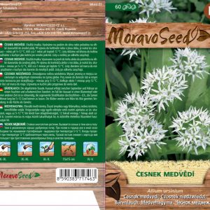 Cesnak medvedí - Allium ursinum