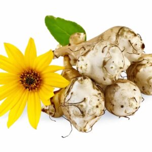 Topinambur mit gelber Blüte