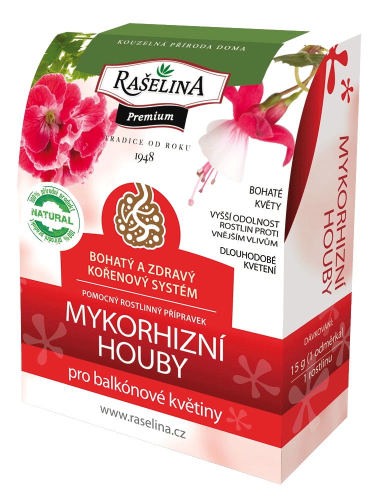 Mykorízne huby