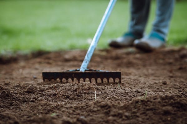 Gartenrechen in den Händen einer Person, die den Boden auflockert und auf Gras steht, Bodenbearbeitung