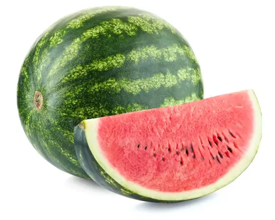 Wassermelone (Citrullus lanatus var. caffer)​