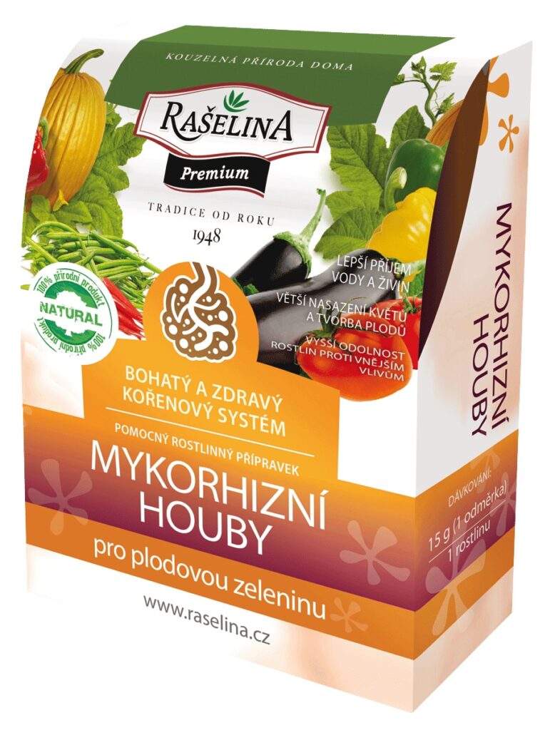 Mykorízne huby