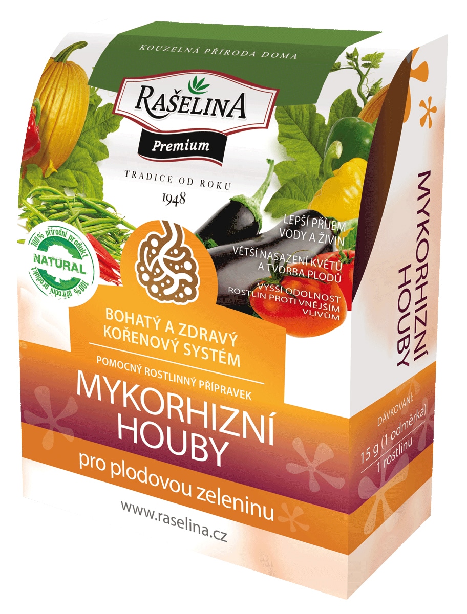 Mykorízne huby