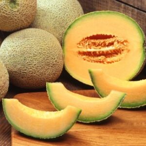 Zuckermelone (Cucumis melo) - Cucumis melo var. cantaloupensis