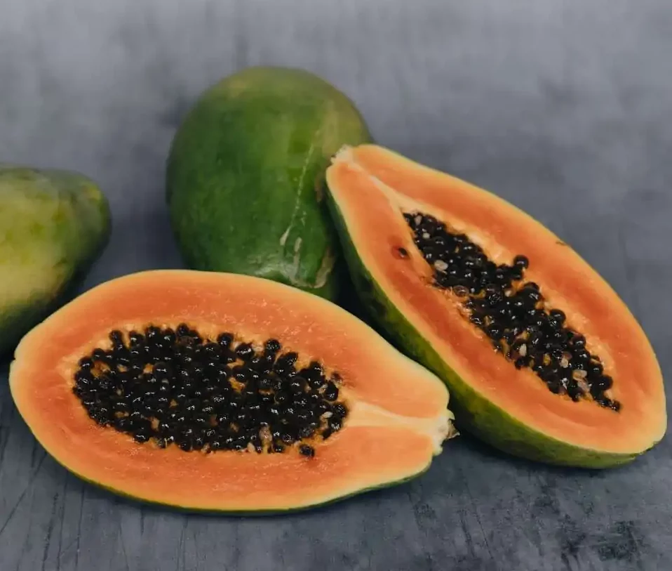 Papaya (Carica papaya)