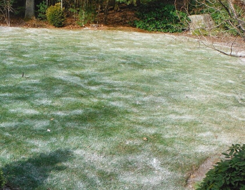 Herbstdüngung des Rasens