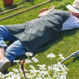 Gartenarbeiten im August