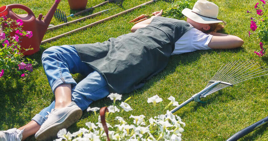 Gartenarbeiten im August