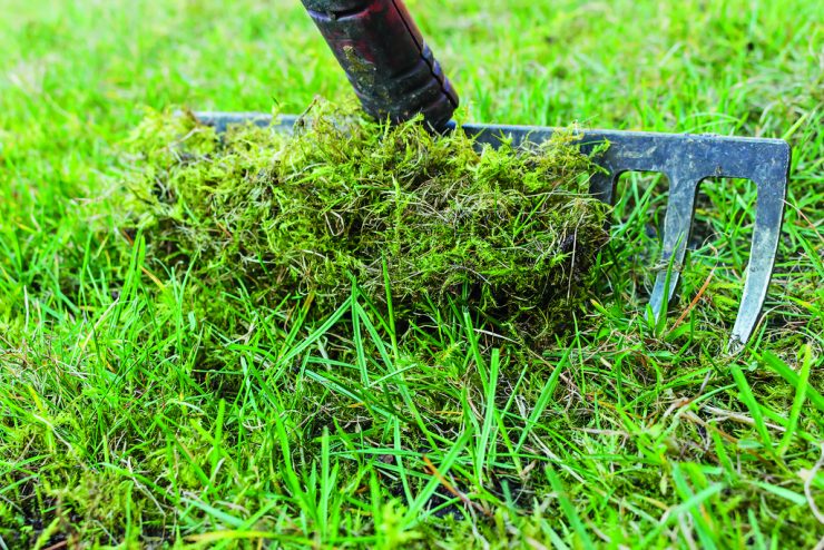 Gartenarbeiten im August