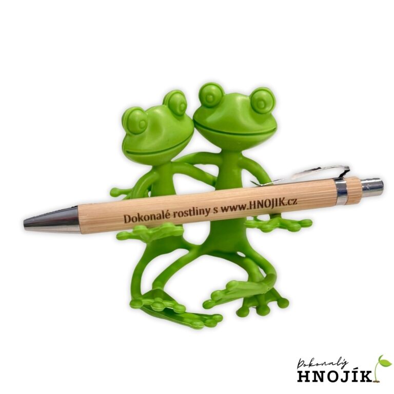 Zwei grüne Froschfiguren halten einen Kugelschreiber aus Holz