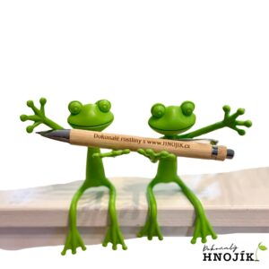 Grüne Froschfigur mit einem Kugelschreiber aus Holz