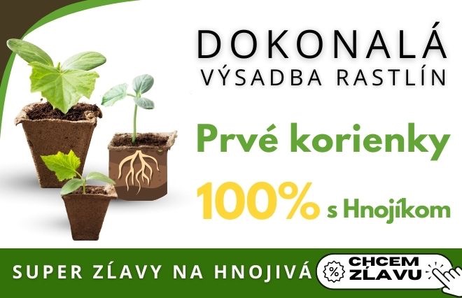 Dokonala vysadba rastlin