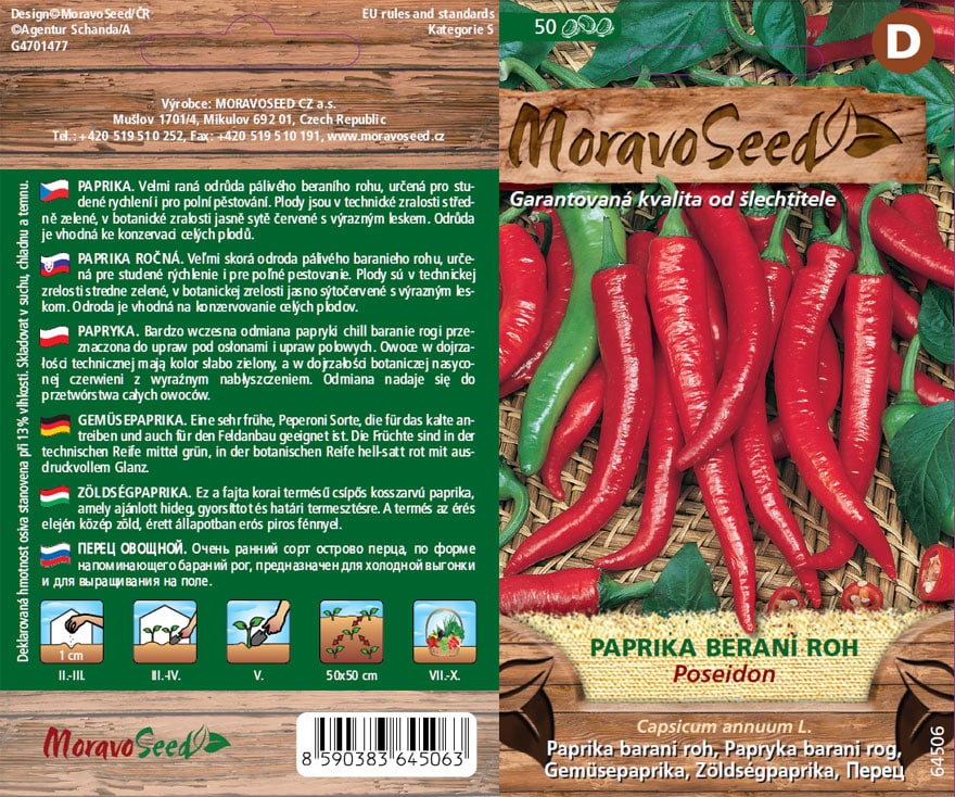 Paprika baraní roh - Capsicum annuum - POSEIDON - pálivá