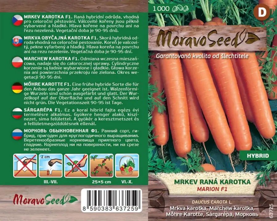 Frische orangerote Karotten der Sorte Marion F1 mit Laub auf Erde, Saatgutpackung von Moravo Seed