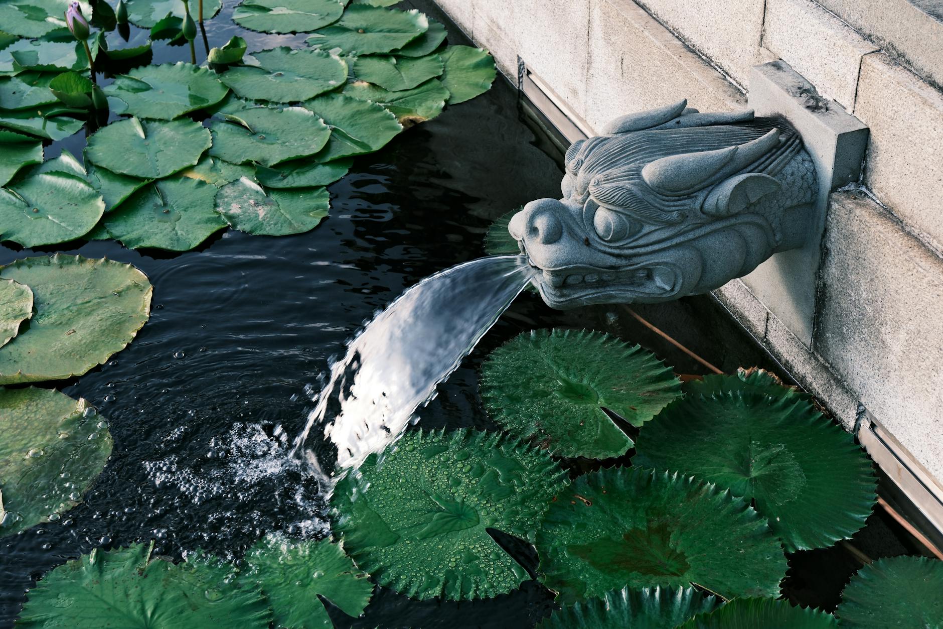 Planung eines Wassergartens