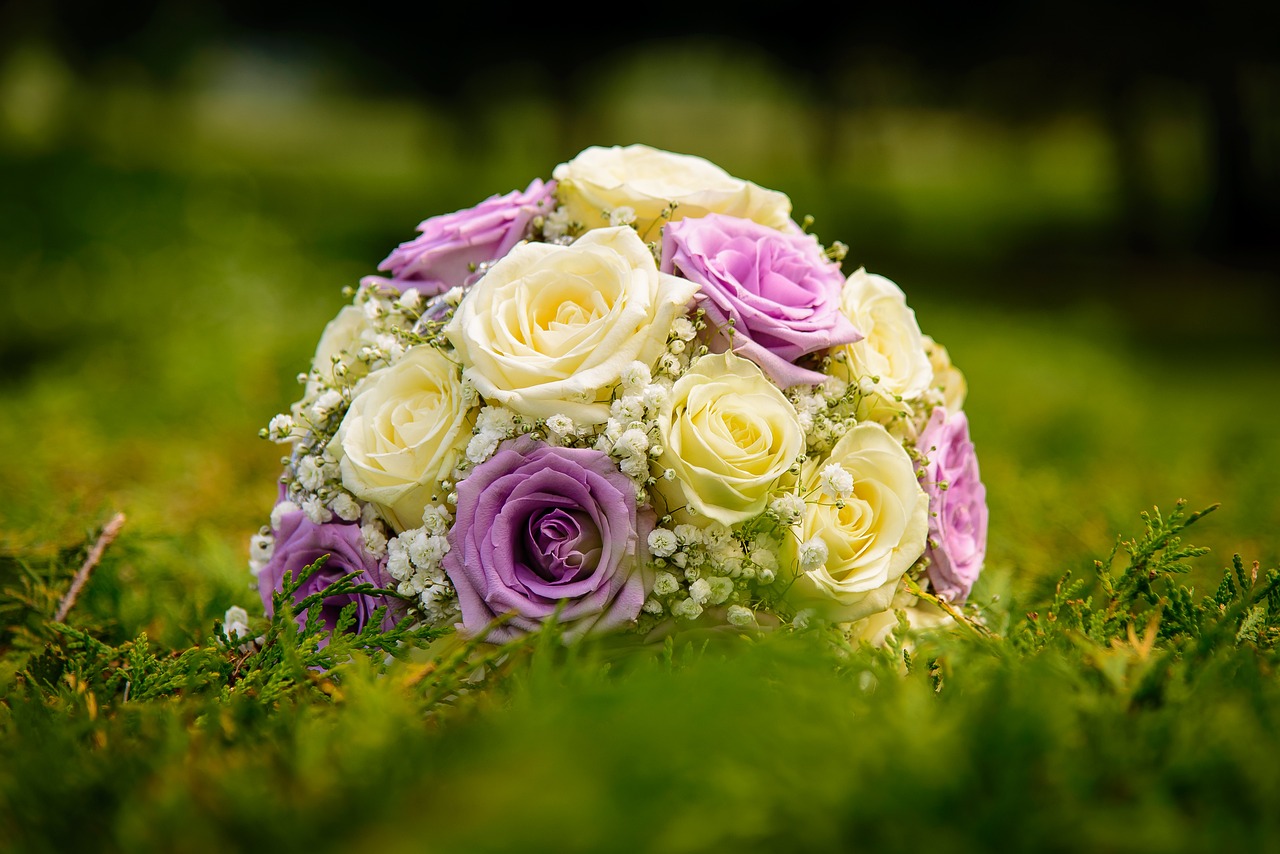 Übersicht botanischer Rosensorten von Wildrose bis Wichurana-Rose.