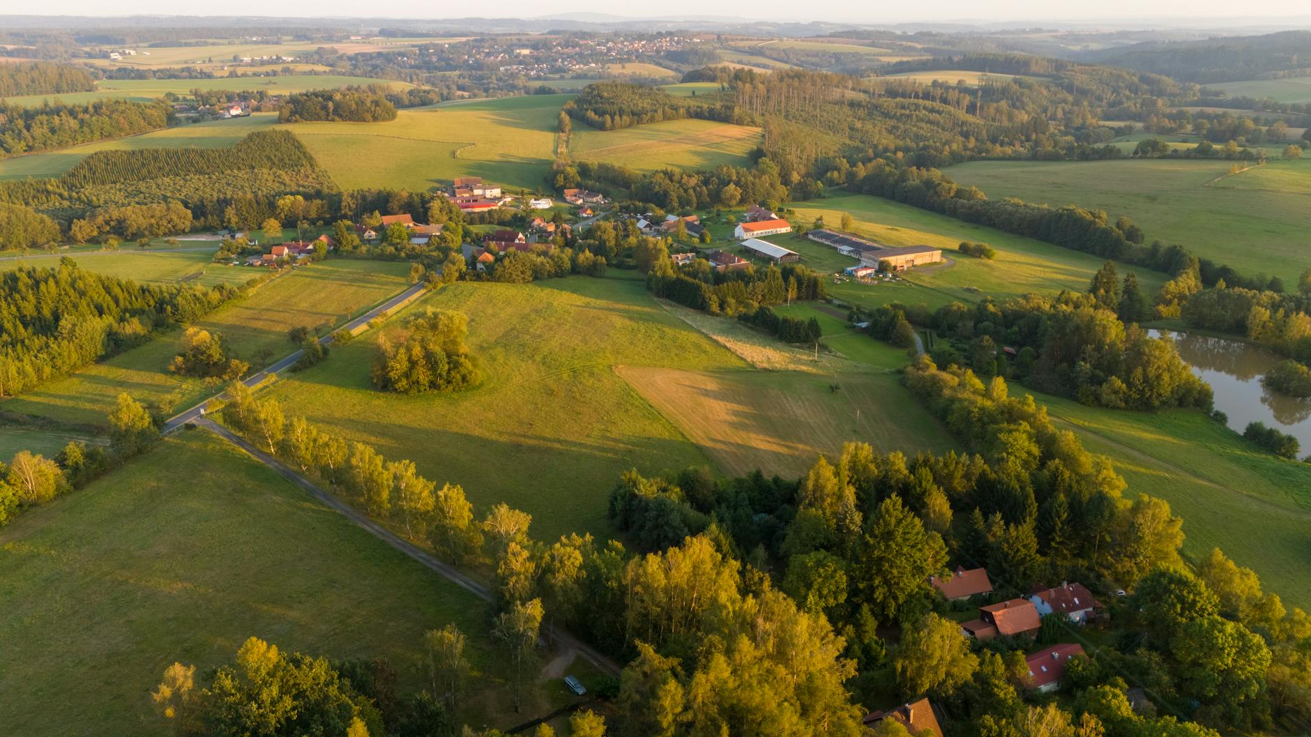 Entwicklung der modernen Arboristik im späten 20. Jahrhundert.