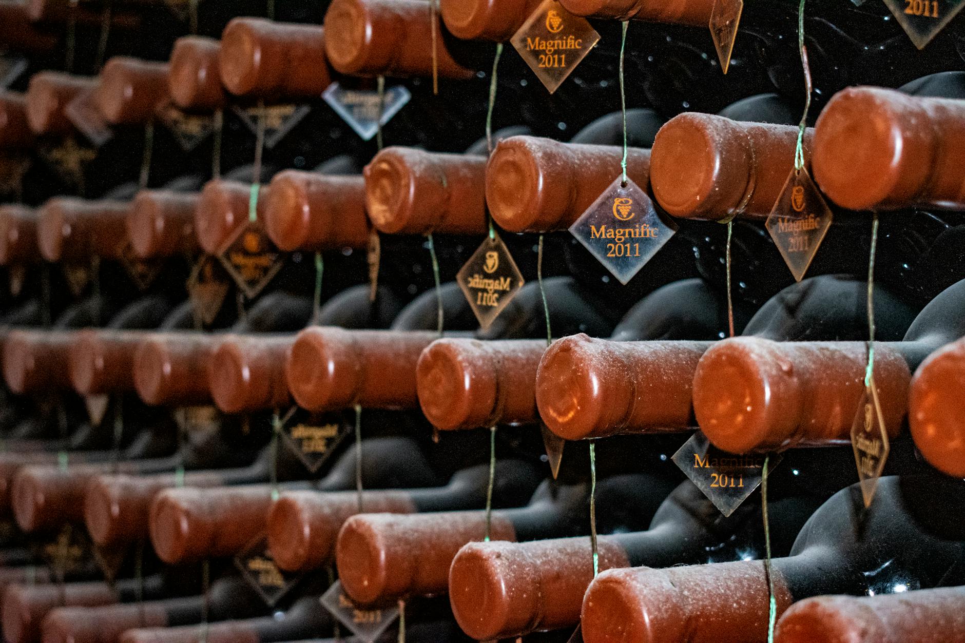 Weinbaukeller: Aufbau, Abmessungen und optimale Bedingungen