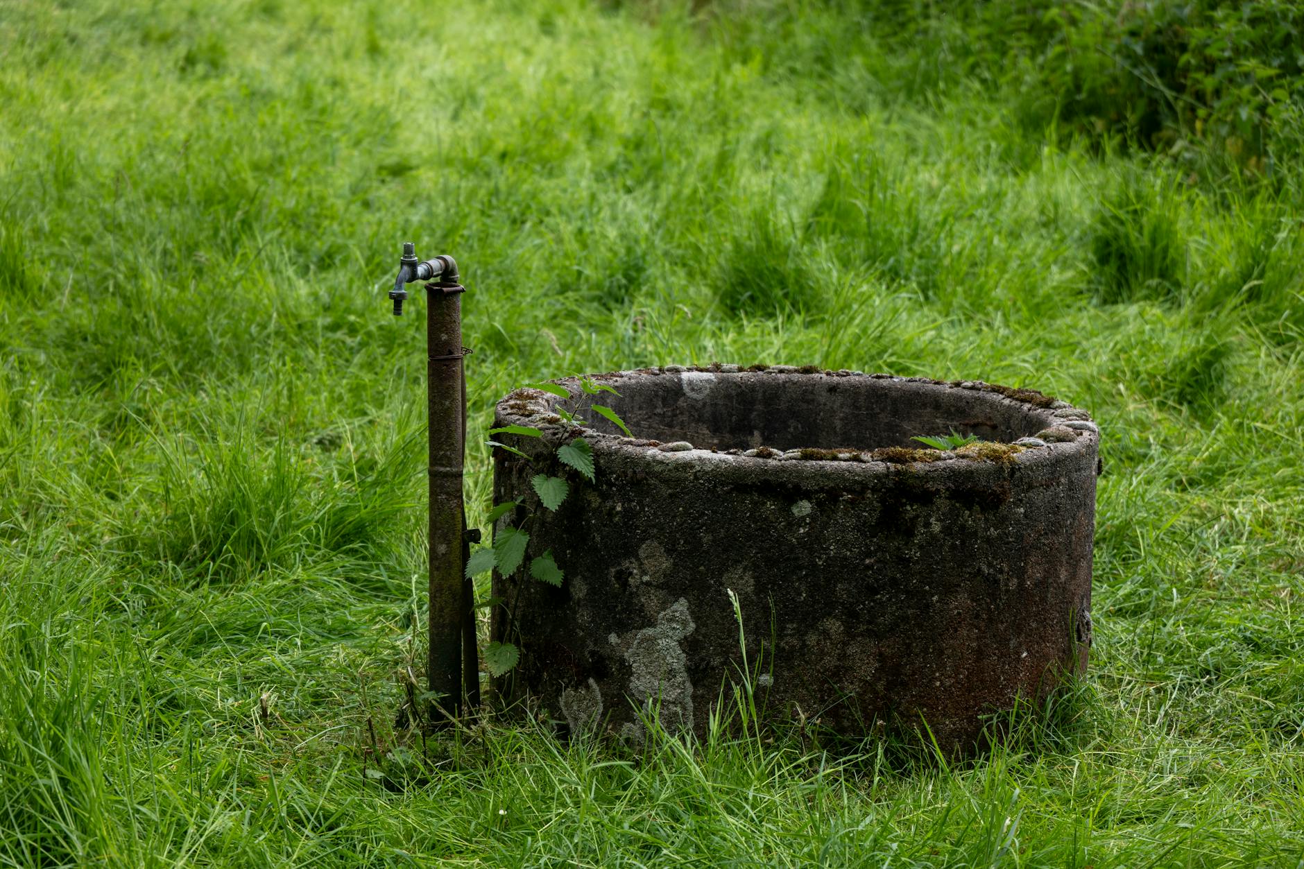 Gießwasser