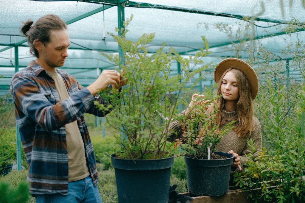 Gartenarbeit