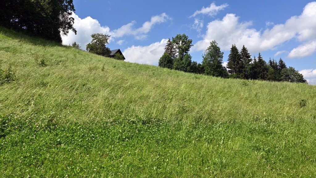 Rasenersatz
