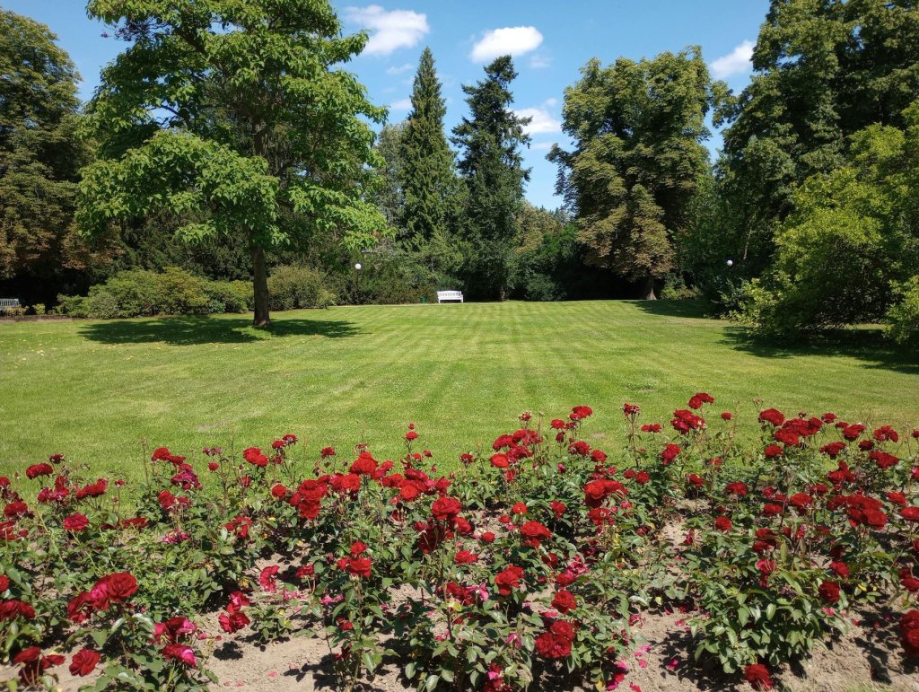 Wohngarten