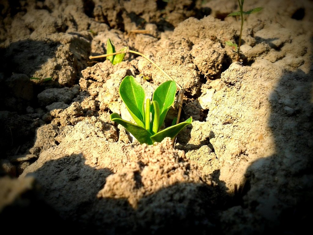 Bodenstruktur