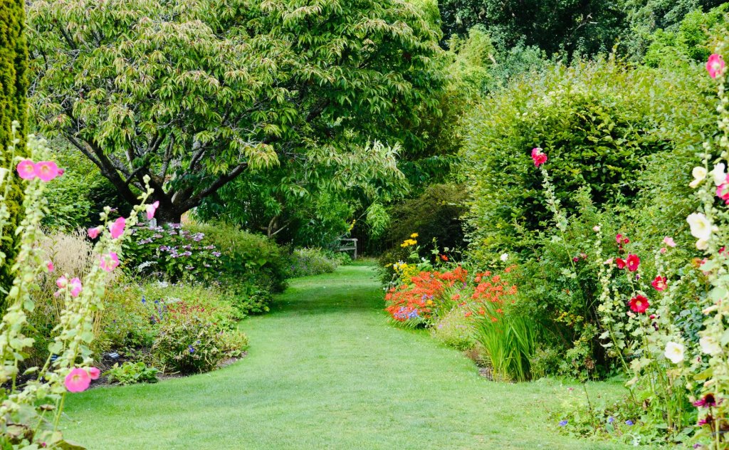 Rasen im Garten