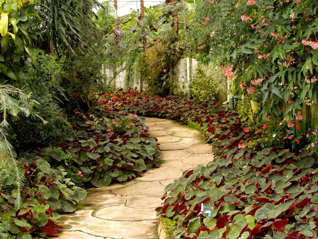 Gartenwege
