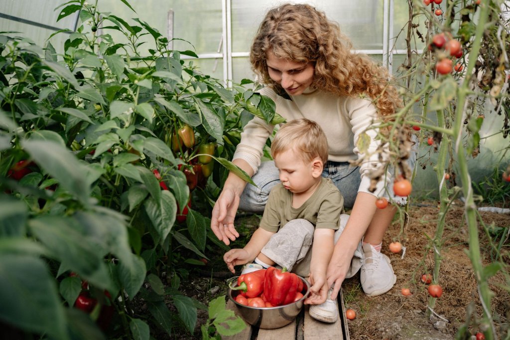 Gemüseernte – Gemüseanbau im Garten