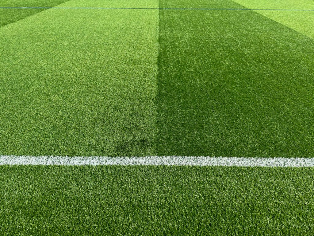 Sportrasen – Biologie und Morphologie der Gräser