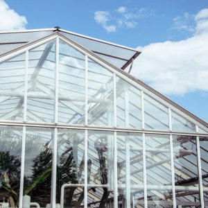 Gewächshäuser für den Garten: Konstruktion, Materialien und Typen
