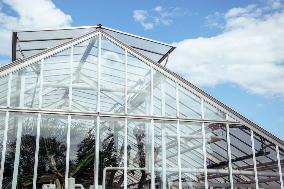 Gewächshäuser für den Garten: Konstruktion, Materialien und Typen