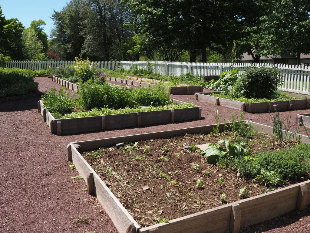 Gemüsebeet – Gemüseanbau im Garten