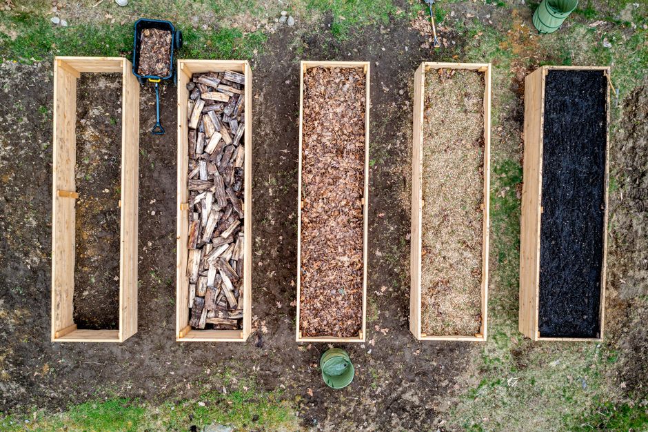 Vergleich verschiedener Mulchmaterialien nebeneinander