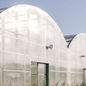 Materialien für die Verglasung von Gewächshäusern: Glas und Kunststoffe
