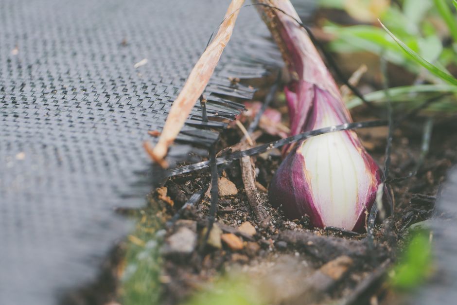 Mulchvlies auf einem Beet